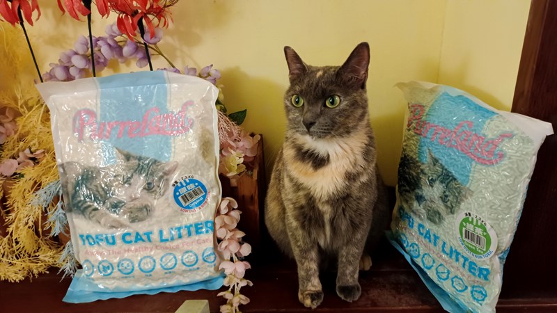 女人知己試用大隊,口碑行銷,部落客行銷,PurreLand 倍淨豆腐貓砂,好市多購買,COSTCO購買,豆腐貓砂,PurreLand倍淨,低粉塵,易清理,可沖馬桶,提供絕佳的除臭與凝結力,豆腐貓砂評價,貓砂評價,使用心得,貓砂分享,好用,原味,綠茶,豆腐砂,水量需完全覆蓋貓砂,水量需貓砂的2~3倍以上,豆腐砂評價,高CP值,划算